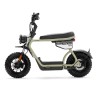 Coopop Rugged GS